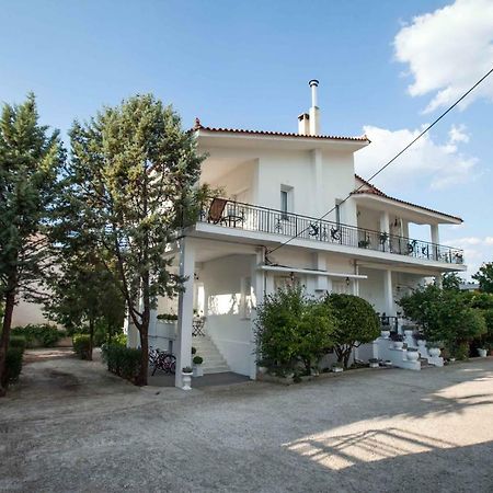 All You Need Is Nafplio Apartment Exterior photo